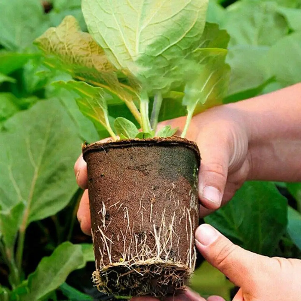 

Biodegradable 6cm Square Gardening Seedling Cultivation Pot Paper Paper-plastic Square Cup Cup 6 Nursery Nursery Pulp L4U7