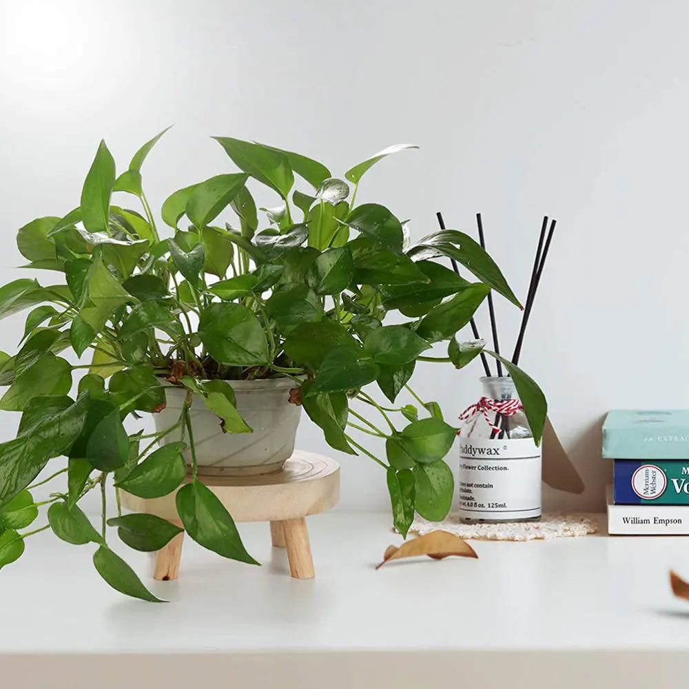 

Planter Round Rack Flower Pot Storage Rack Home Wood Rack Flower Pot Stand