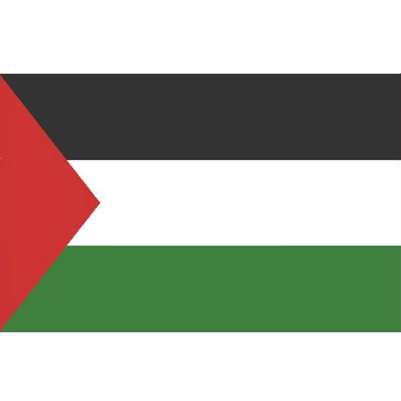 

Палестинский флаг 90x150 см 100D полиэстер двусторонний Печатный флаг и баннер Национальный флаг баннер со страной