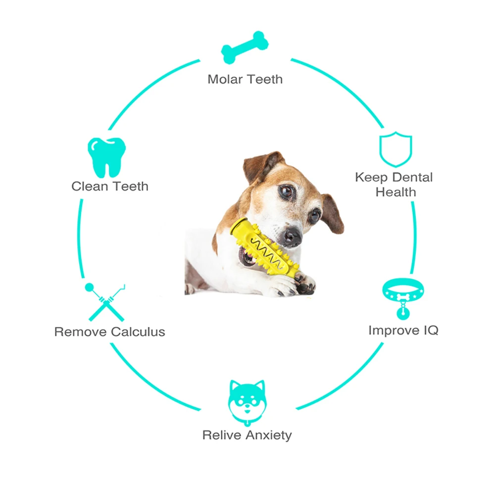 

Pet Products