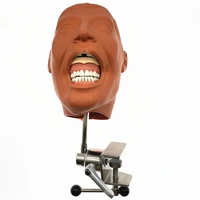 dental simulator manikin phantom head model dental phantom head model with new style bench mount