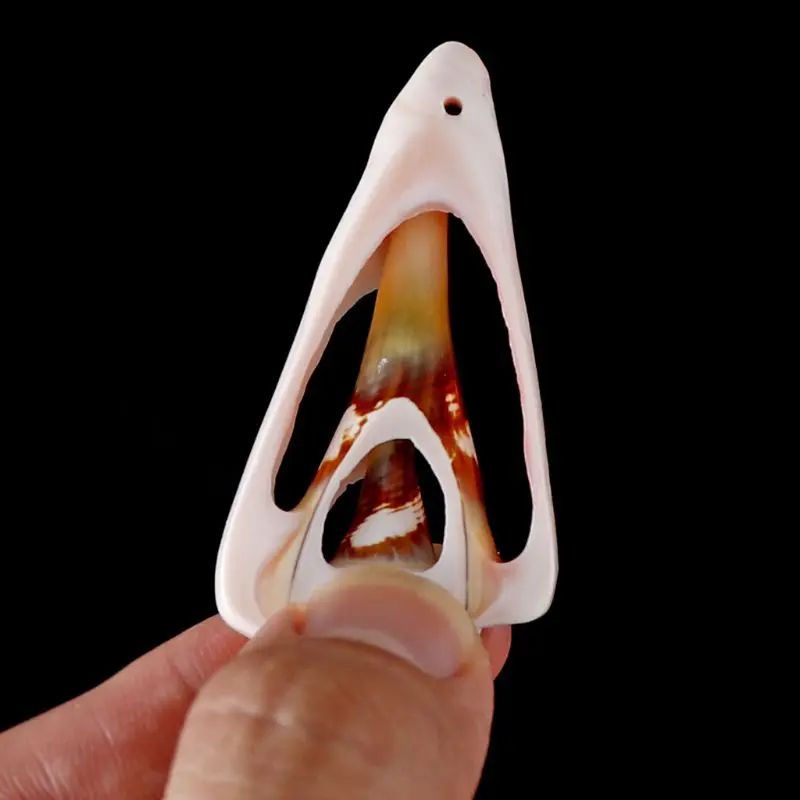 

60Pcs Natural Cowrie Shell Natural Spiral Shells Slices Smooth Cut Beach Seashells Beads With Holes Jewelry Making