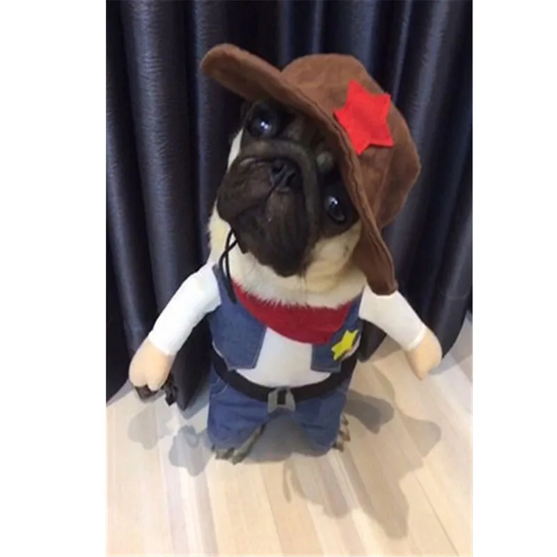 Новинка 2019 зимний костюм для кошки ковбойские джинсы собаки толстовки с