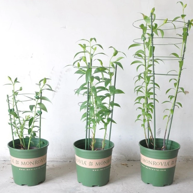 

Garden Plant Support Climbing Plants 45cm 60cm Conical Trellis Supporter Frame