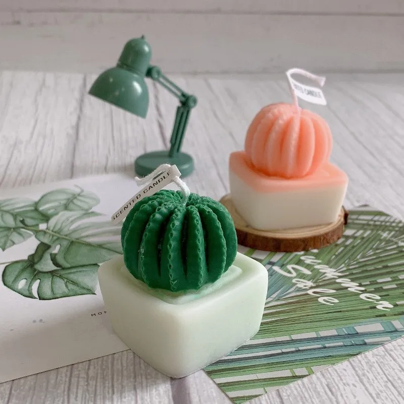 

Home decorative candles cactus plant potted shape scented candle interior modern home decoration aromatic candles Home fragrance