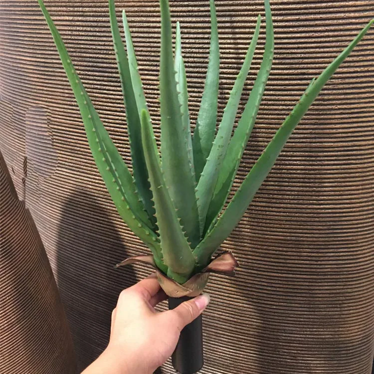 Фотофон Тропическое растение большого размера высококачественные зеленые