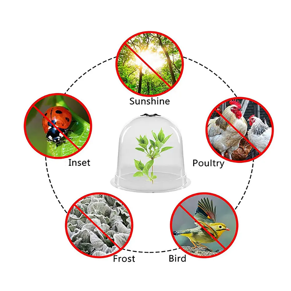 

Plant Bell Cover Dome Anti-Freeze Transparent Plastic Protector Cover Mini Greenhouse Outdoor Garden Plant Protect Backyard 4PC