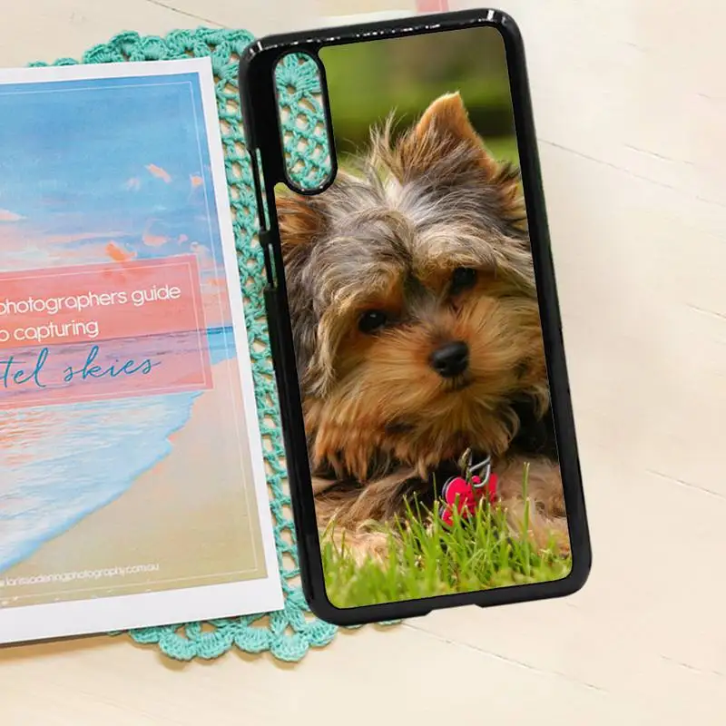 

Cute animal Yorkshire Terrier Dog Phone Case PC for iPhone 11 12 pro XS MAX 8 7 6 6S Plus X 5S SE 2020 XR