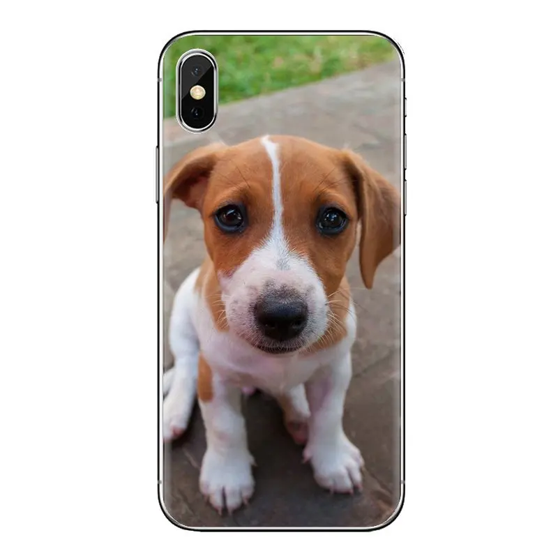 My jack russell Terrier dog puppy Silicone Bag Case For iPod Touch Apple iPhone 11 Pro 4 4S 5 5S SE 5C 6 6S 7 8 X XR XS Plus Max |