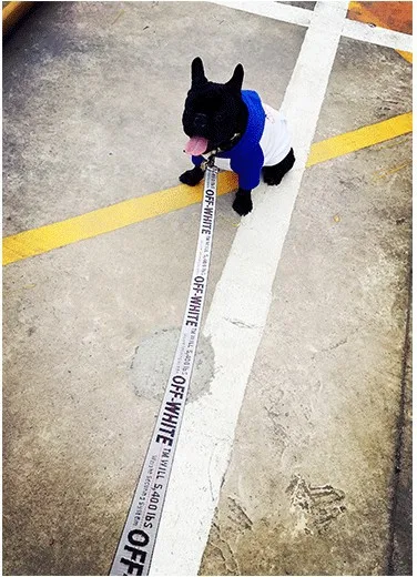 Поводок для домашних животных подходит маленьких собак таких как бульдог