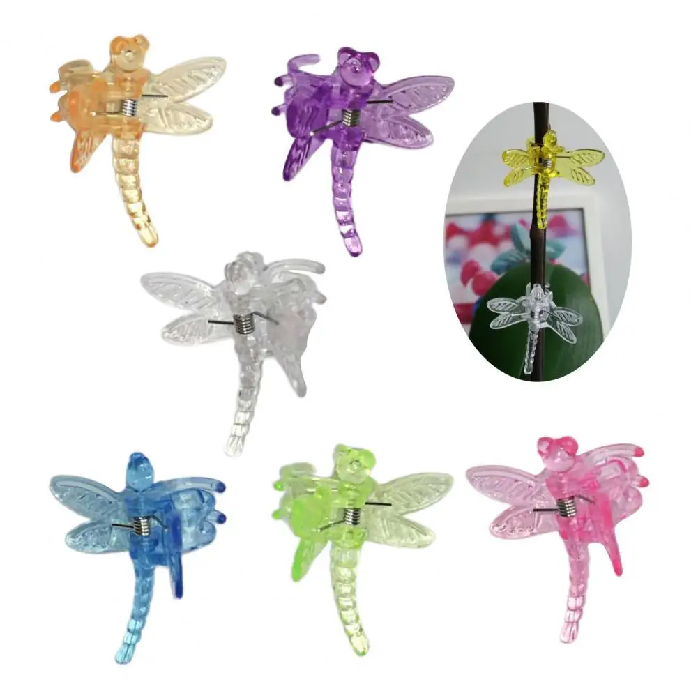 

30Pcs Plant Organize Clip Multifunctional Simple Operation Plastic Dragonfly Orchid Stems Support Fixer Organizer for Garden