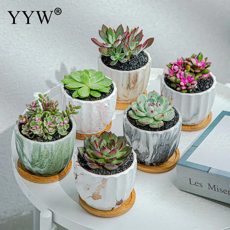 

Мраморный цветочный горшок в скандинавском стиле простой Креативный цветочный горшок водонепроницаемый коррозионно-стойкий дышащий горш...