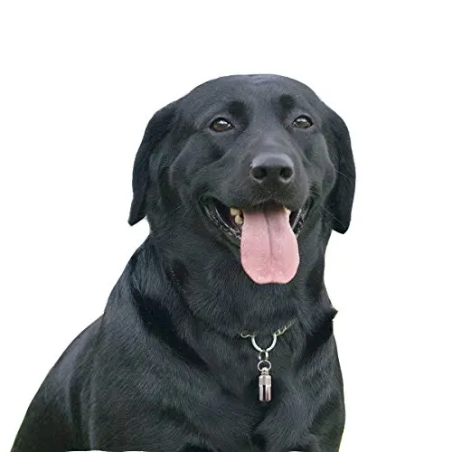 2 шт./лот бирки для идентификационных карт домашних животных предотвращения