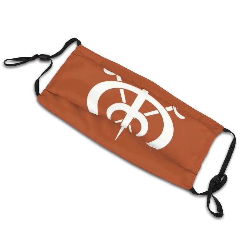 Веселый Roger маска против дымки пыле стирка и изображением пиратского символа для