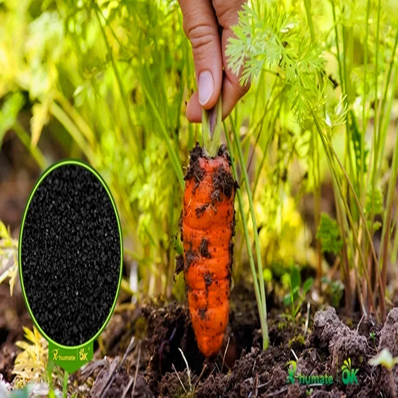 200 gram High Quality seaweed extract powder fertilizer kelp | Дом и сад