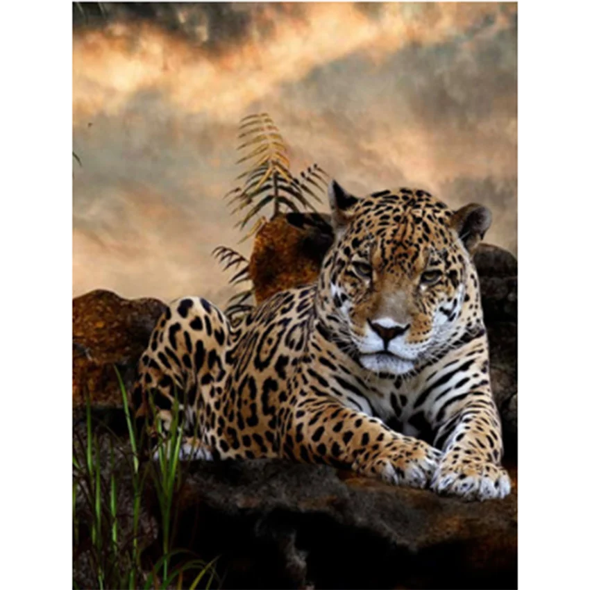 

5D DIY Diamond Painting Square Round Diamond Animal Painting Leopard Painting Cross Stitch Kit Mosaic Art Picture Gift BM361