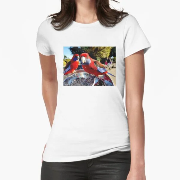 

Crimson Rosella T-Shirt Print Top