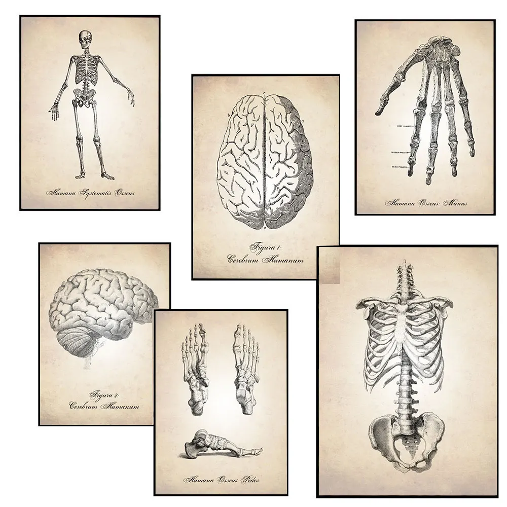 Абстрактная анатомия холст картина на стену скандинавские конечности настенное