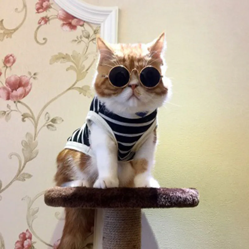 Модные собака Кот солнцезащитные очки маленькие собачьи товары для домашних