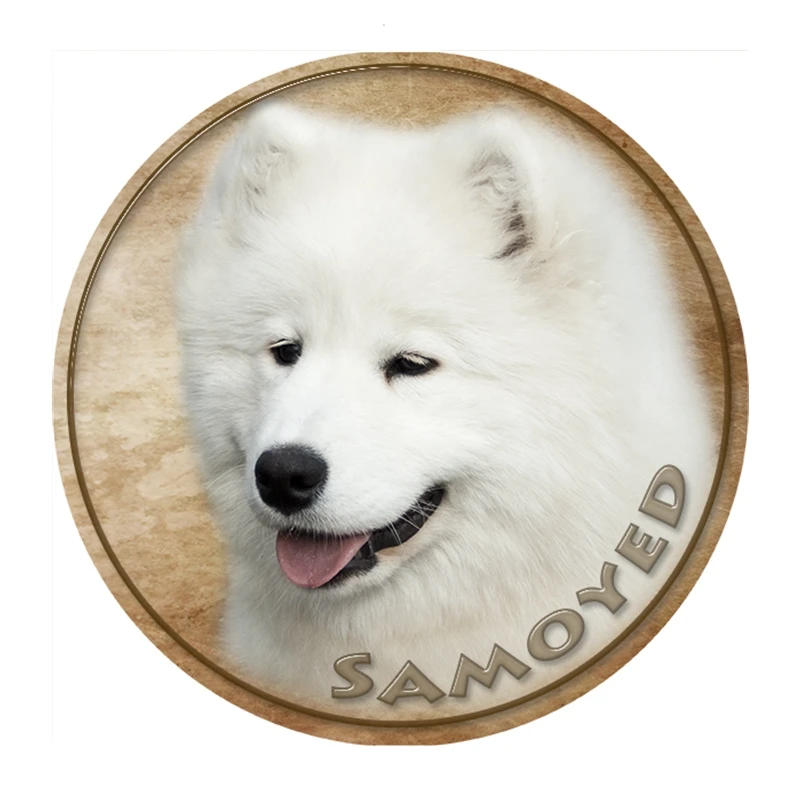 Маленький город S40431 # наклейки Samoyed Chien Voiture différentes tailles pare Pour для задней двери