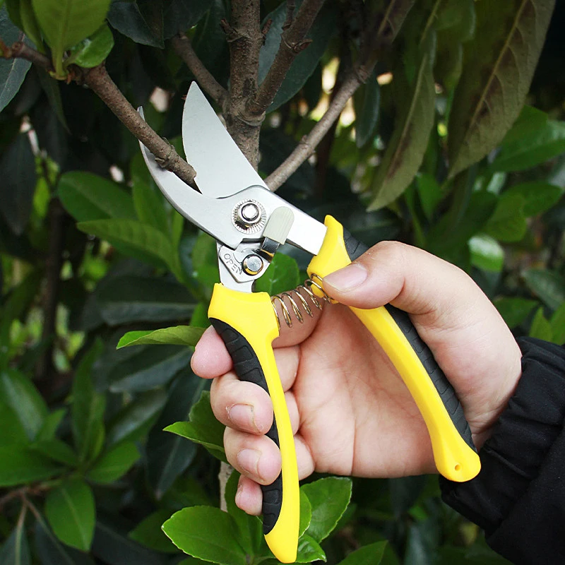 

Sharp Pruning Shears Garden Scissors Tree Trimmers Secateurs Multifunctional Pruning Shears Gardening Hand Pruning Shear NEW