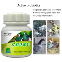 pigeons parrots diarrhea diarrhea diarrhea green stool will not eat probiotic tablets 200 tablets general for birds