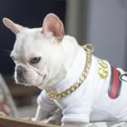 Металлический большой ошейник для собак в стиле панк из алюминия, Золотая цепочка, модные аксессуары для домашних животных, ошейник для маленьких и средних собак, ожерелье для домашних животных