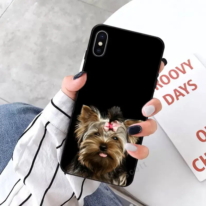 

Yorkshire Terrier dog cute Phone Case for iPhone 11 12 mini pro XS MAX 8 7 6 6S Plus X 5S SE 2020 XR