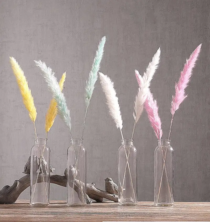 20 шт. Bulrush Натуральные Сушеные маленькие пампасы травяные фрагмиты растения