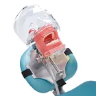 Модель зуба Стоматологическая симулятор Manikdin Phantom модели зубов Fordentist Учебная модель оборудование материал съемные зубы