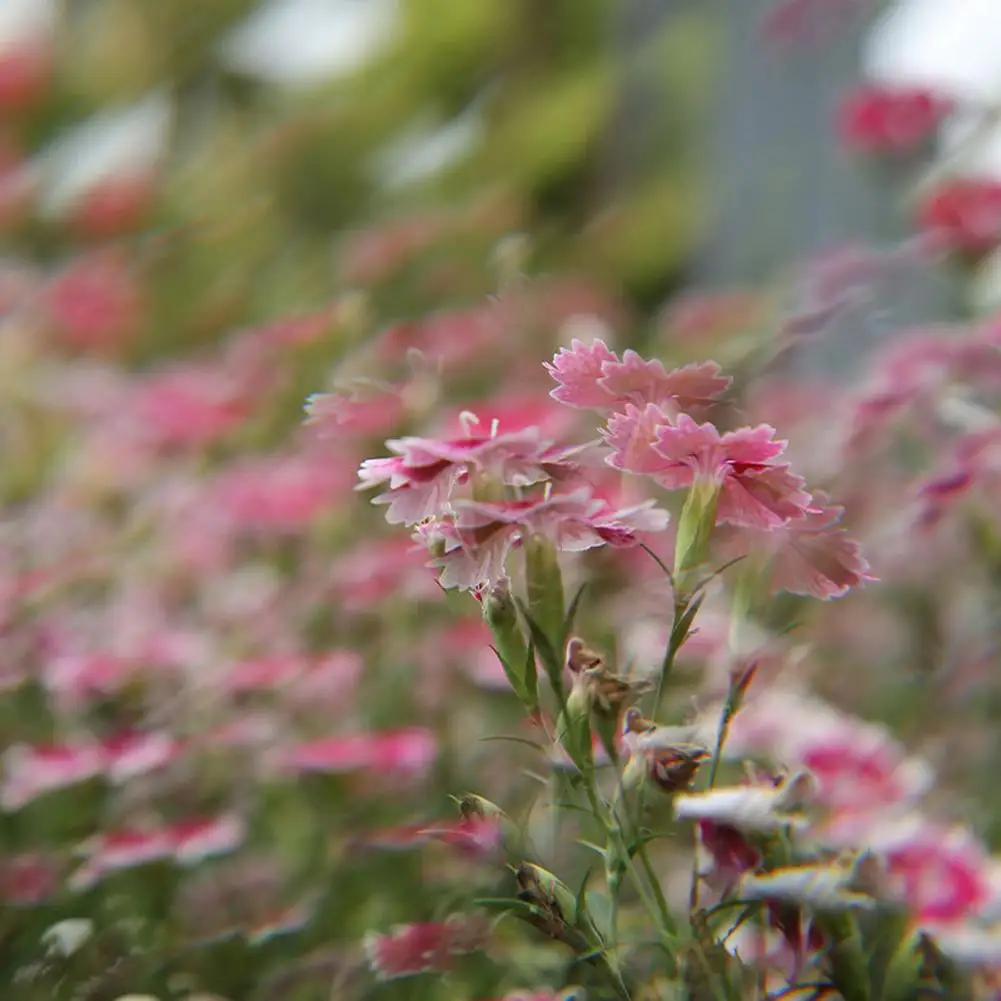 77 мм Забавный калейдоскопический фильтр креативная линейность стеклянный для