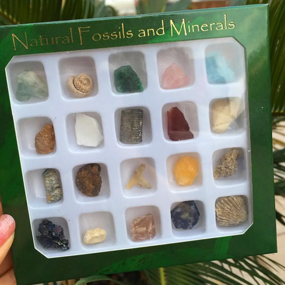 20 шт./компл. окаменелости руды набор орнамент натуральный камень ремесло