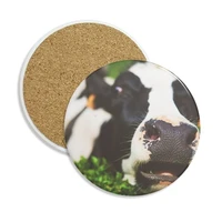 pcture terrestrial organism animal cow ceramic coaster cup mug holder absorbent stone for drinks 2pcs gift