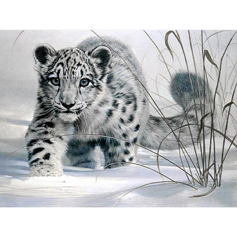 

Полностью квадратная и круглая дрель Алмазная вышивка животные Сделай Сам Алмазная картина Снежная леопардовая мозаика вышивка крестиком ...