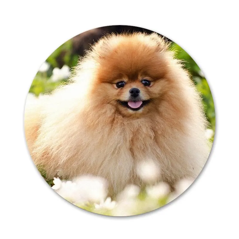 Значки для собак шпильки значки металлические фотографий|Значки| |