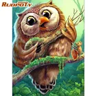 Картина из квадратных страз RUOPOTY, картина с изображением совы, гитары, животных, вышивка из круглых страз, украшение для дома