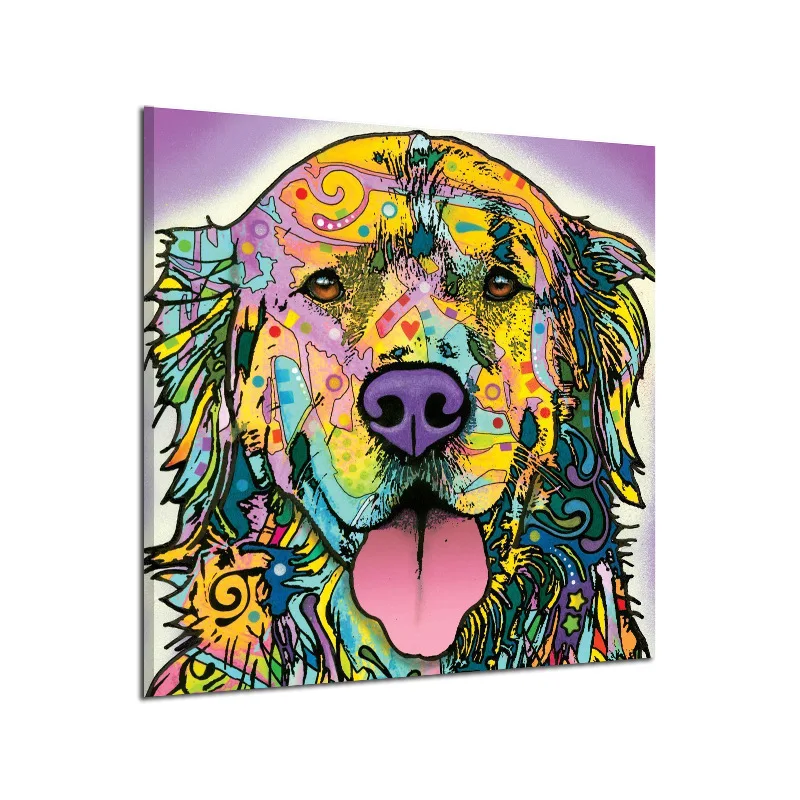 Милая голова золотистого ретривера с животными без рамки сделай сам рисование по