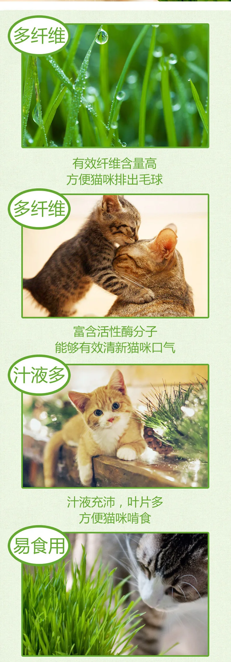 Моделирование керамической творческой черной пшеничной травы для замены