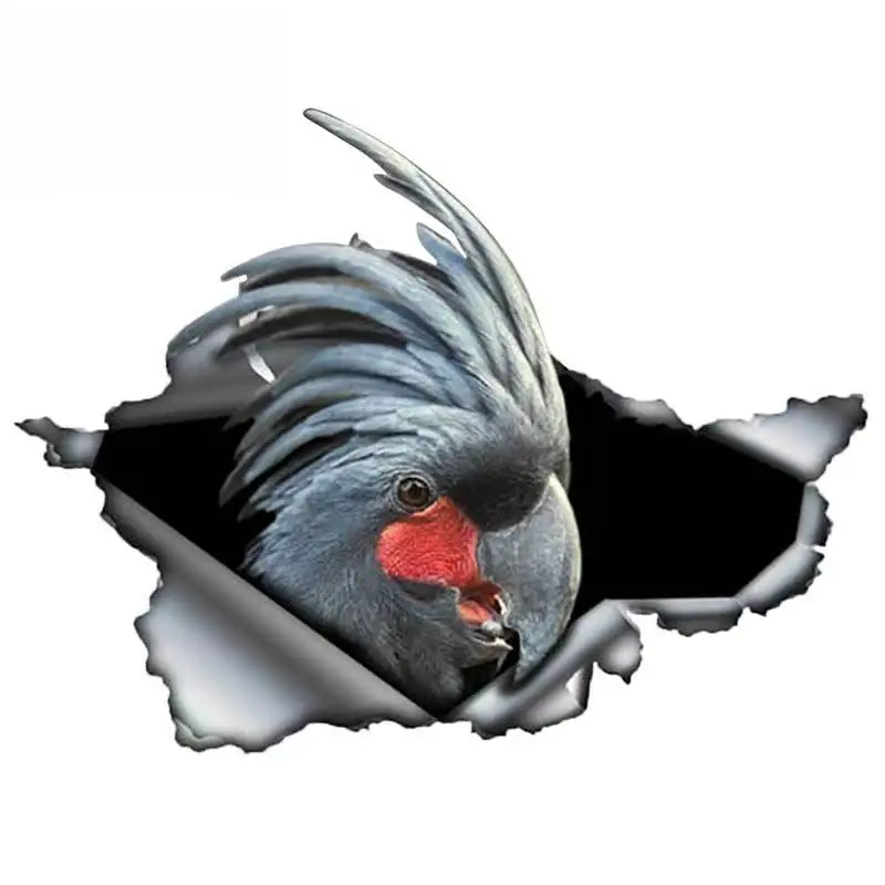 

Творческий рваные металлическая наклейка черный чёрный Какаду автомобиля Стикеры отражательные наклейки для автомобилей Стикеры s стайли...