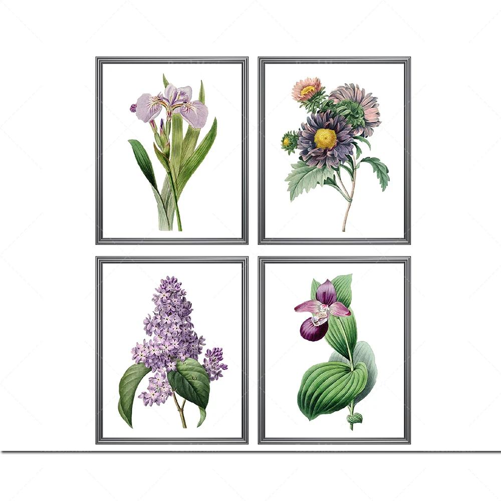 

Impressions de fleurs violettes, illustrations rÃ©tro, ensemble d'art mural vÃ©gÃ©tal de 4 impressions