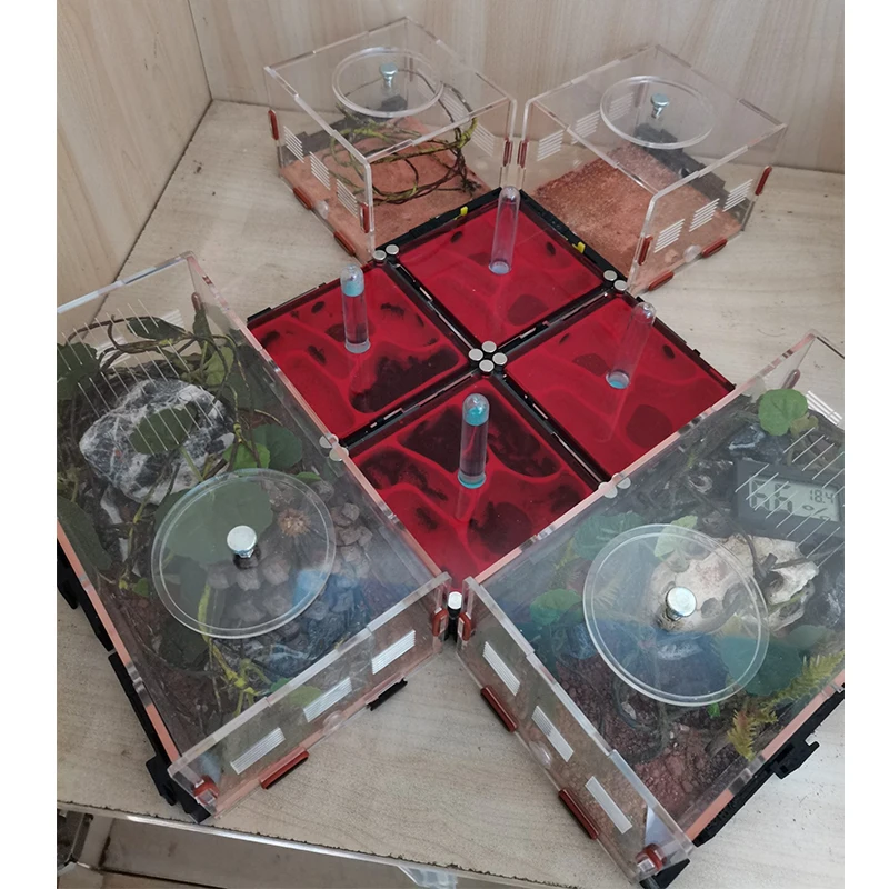 

3D Print Acrylic Ant Farm Spliceable Unlimited Expansion Flat Ant Nest with Water Tower Ant House Anthill Pet Workshop 24*21*9cm
