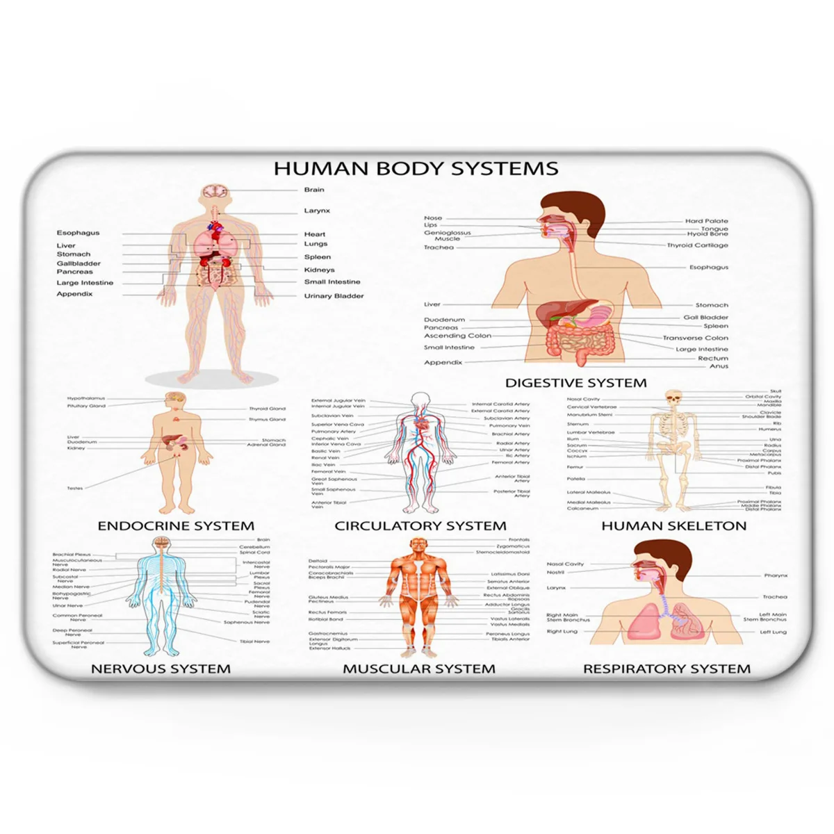 Черно белый зимний Парижский коврик для дома с изображением деревьев холодная