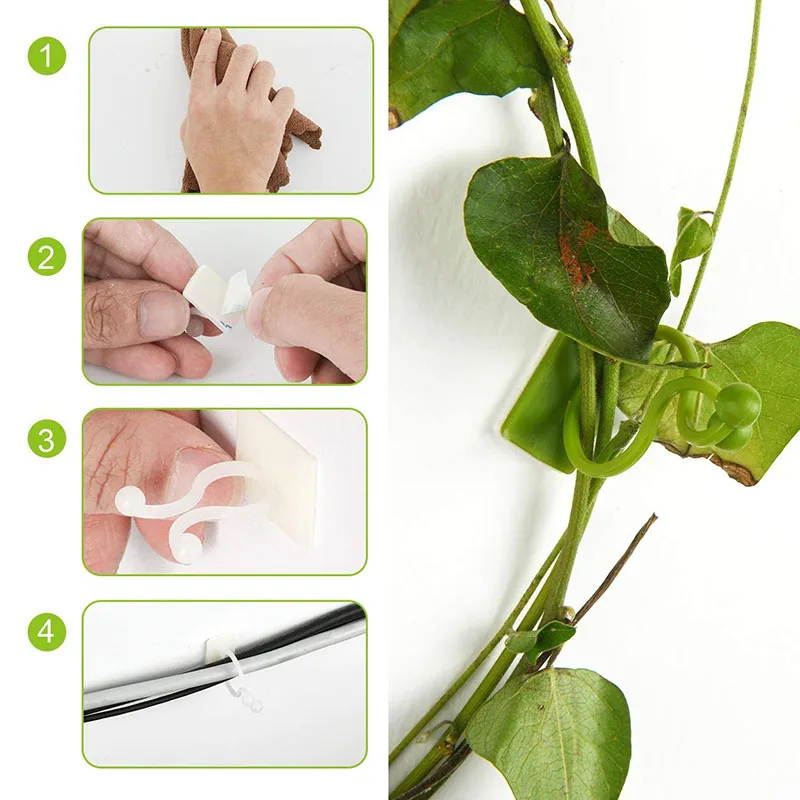 

Plant Holder Self-Adhesive Hook Plant Climbing Wall Fixing Clip for Garden Plant Vine Bracket