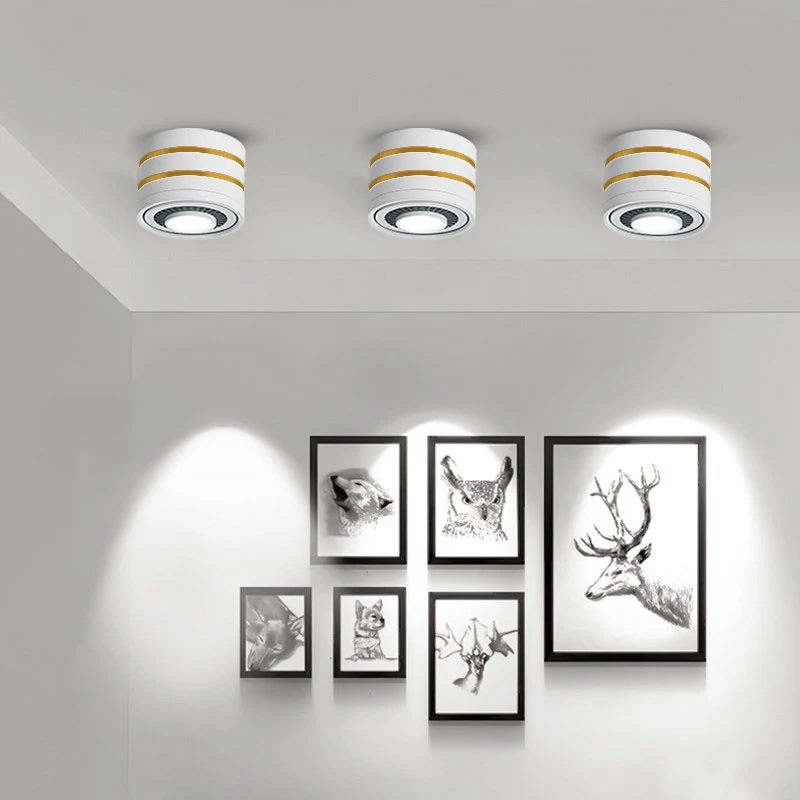 

Dimmable LED Ceiling Lights 5W 7W 9W 15W 3000K/4000K/6000K 360 Degree Rotatable Angle Ceiling Spot Light for Living Room Bedroom