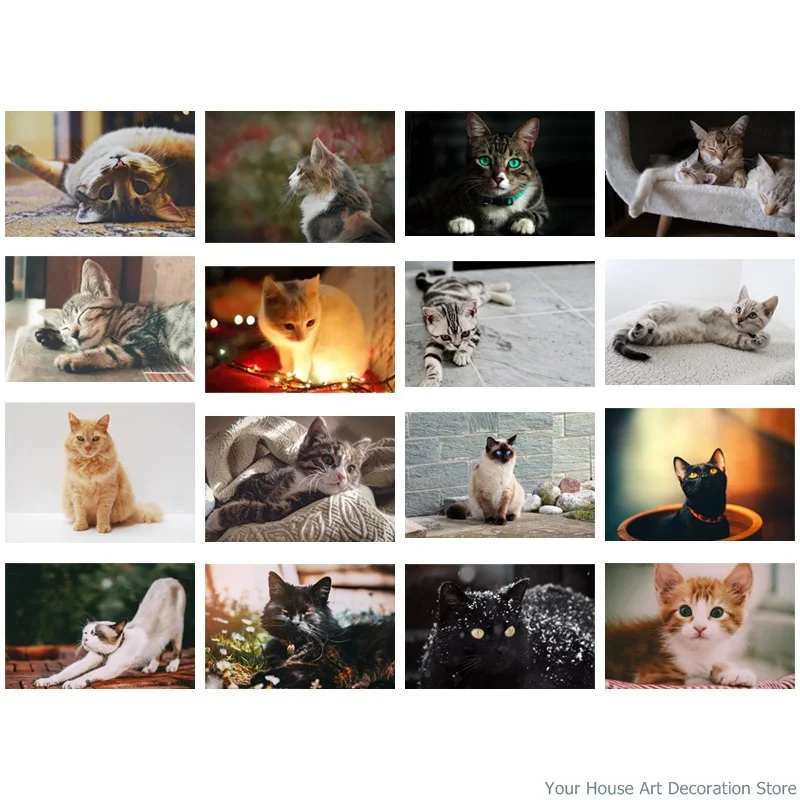 

5D Full Square/round Drill Diamond Painting Embroidery Lovely Animal Cats Art Picture of Rhinestones Home Decor