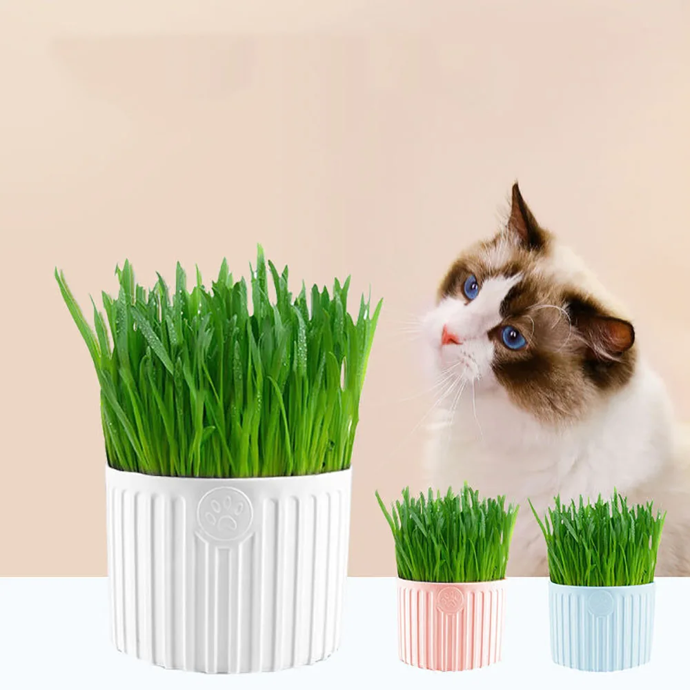 

Закуски для кошек, трава для кошек, саморост, натуральное здоровье, здоровое очищение кишечника кошки, стимулирует пищеварение, игрушки для ...