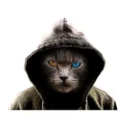 Нашивки для одежды с изображением мистических кошек, аксессуары для женской одежды, футболки, Термотрансферная наклейка на одежду бумага, железо