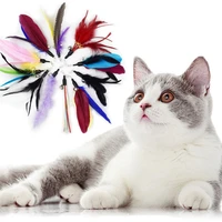 new feather replacement head funny cat toy cute and funny kitten outdoor interactive play training supplies hot