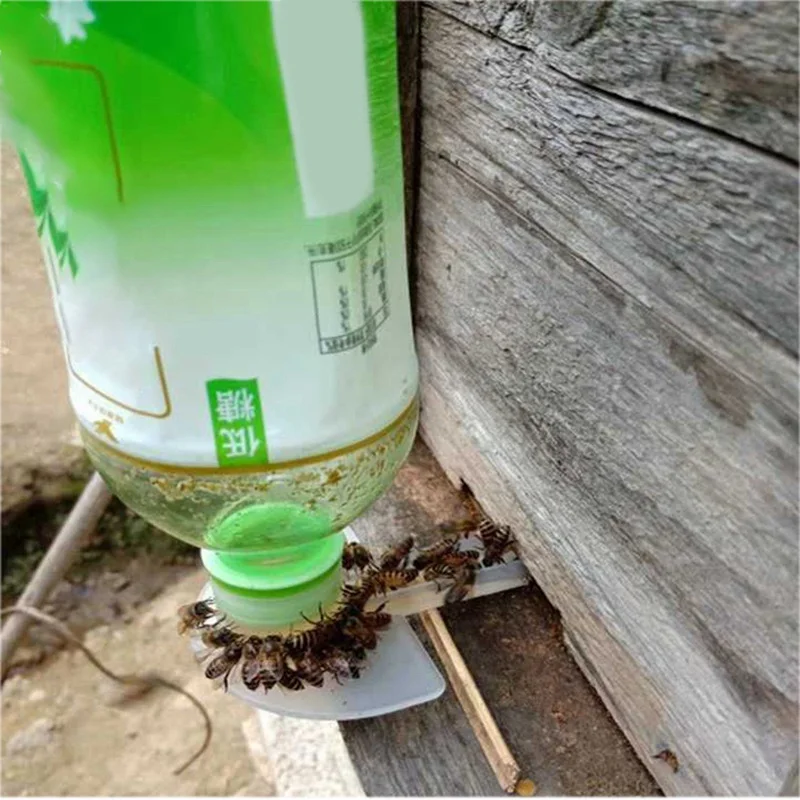 Кормушка для пчел кормушка входа в кормушку меда пробка пчеловодства