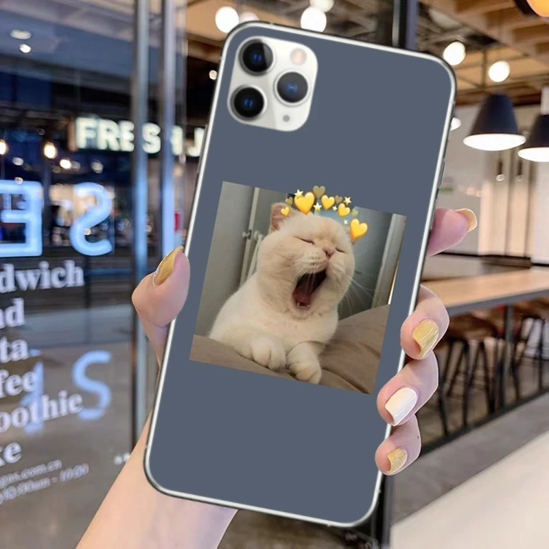 

Funny Animal Cat And Dog Soft Silicone Phone Cover Case for iPhone 12 Pro Max 11 Pro Max 6S 6 7 8Plus SE XR XS X Clear TPU Shell